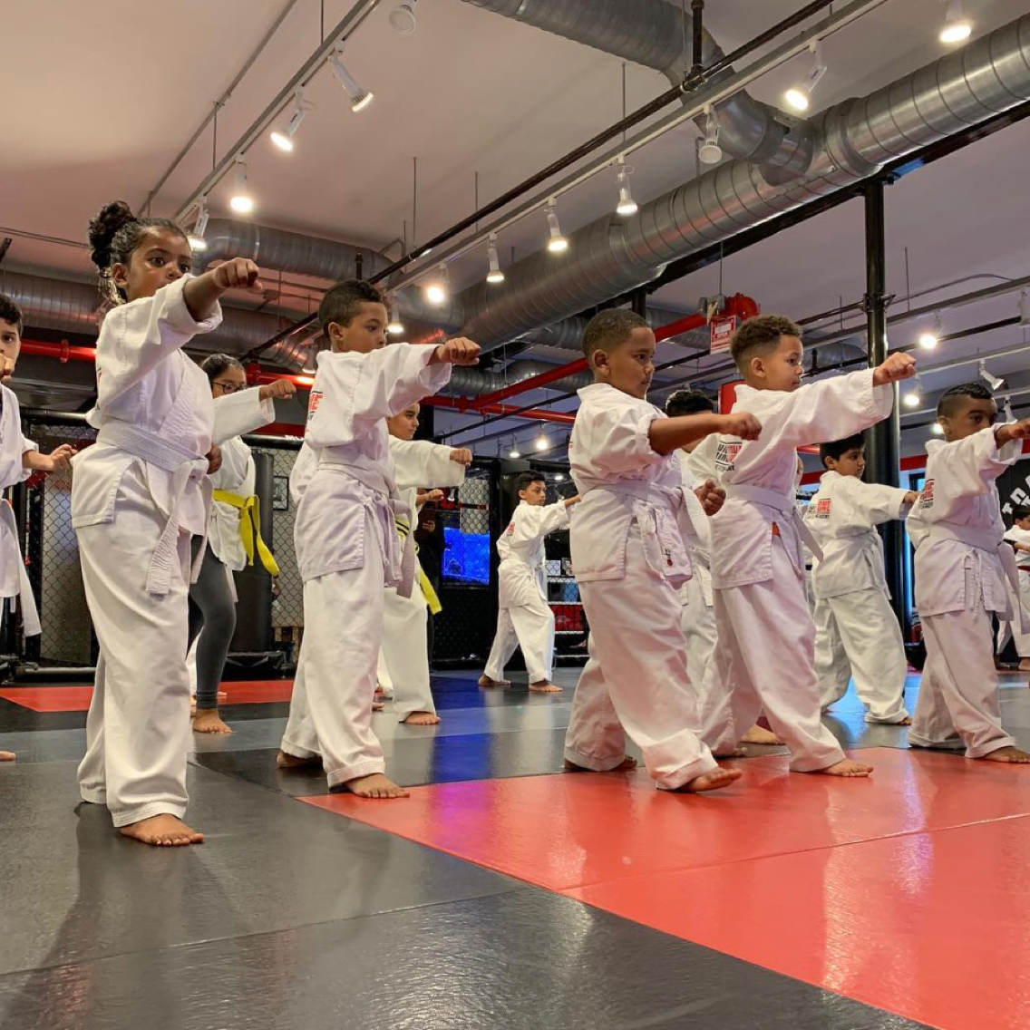 Juniors Martial Arts