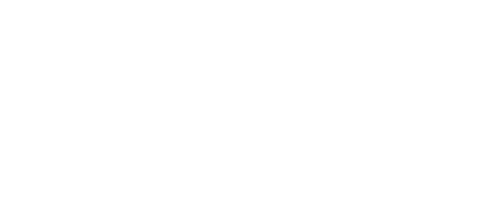Renzo Gracie Brazilian Jiu-Jitsu